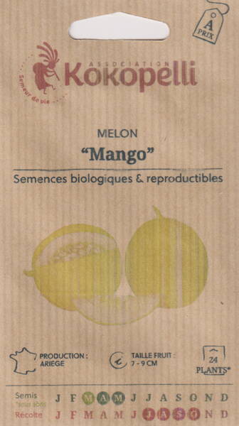 Дыня "Манго"